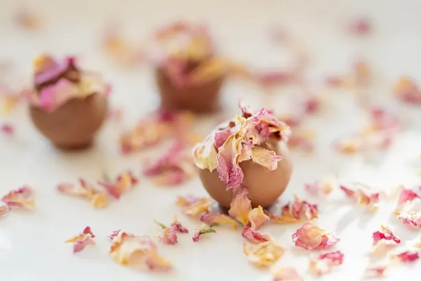 Moon Kasino Android/iOS Aplikácia